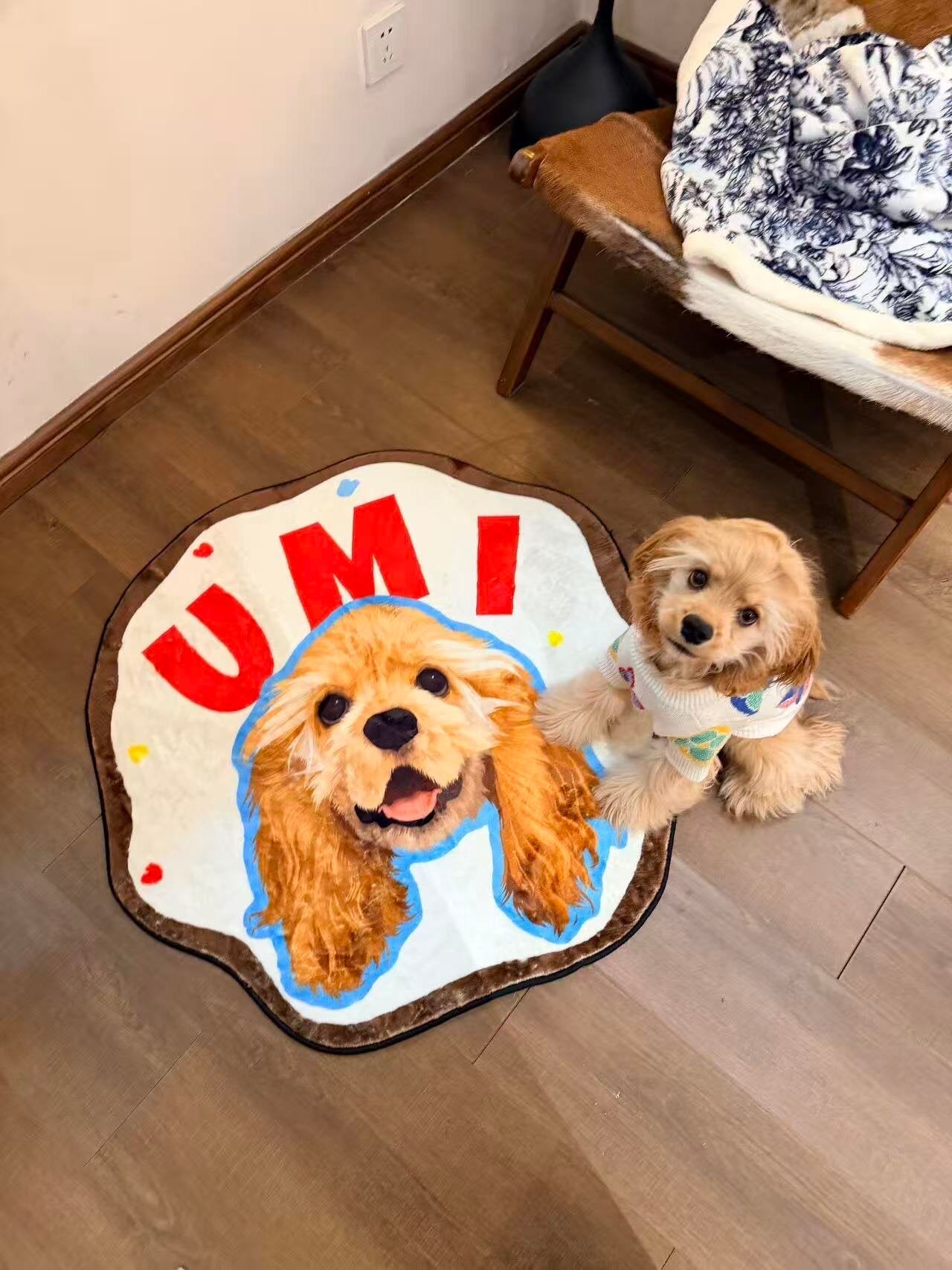 Personalized Pet Rug | Customized With Pet Photo & Unique Name
