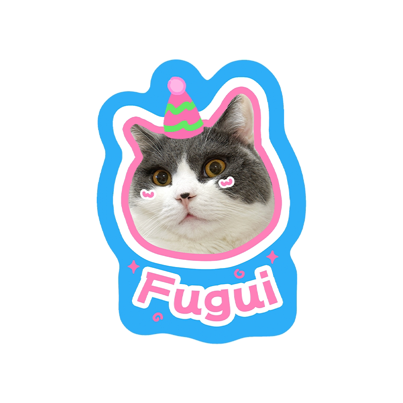 Custom Photo Pet Rug With Your Cat Dog Picture | 100cm Large Personalized Pet Floor Mat