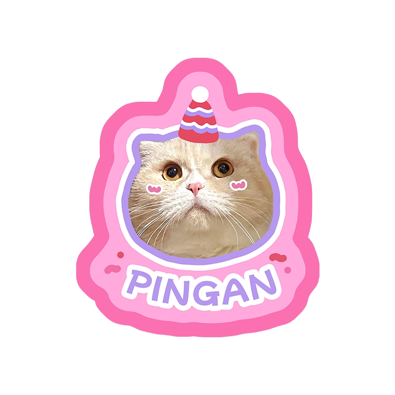 Personalized Party Hat Pet Tag Design Rug Custom Pet Picture Soft Non-Slip Floor Carpet 100cm