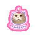 Personalized Party Hat Pet Tag Design Rug Custom Pet Picture Soft Non-Slip Floor Carpet 100cm