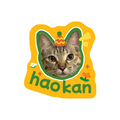 Personalized Pet Portrait Carpet Custom Cat Dog Face Print Soft Floor Rug Max Side 100cm