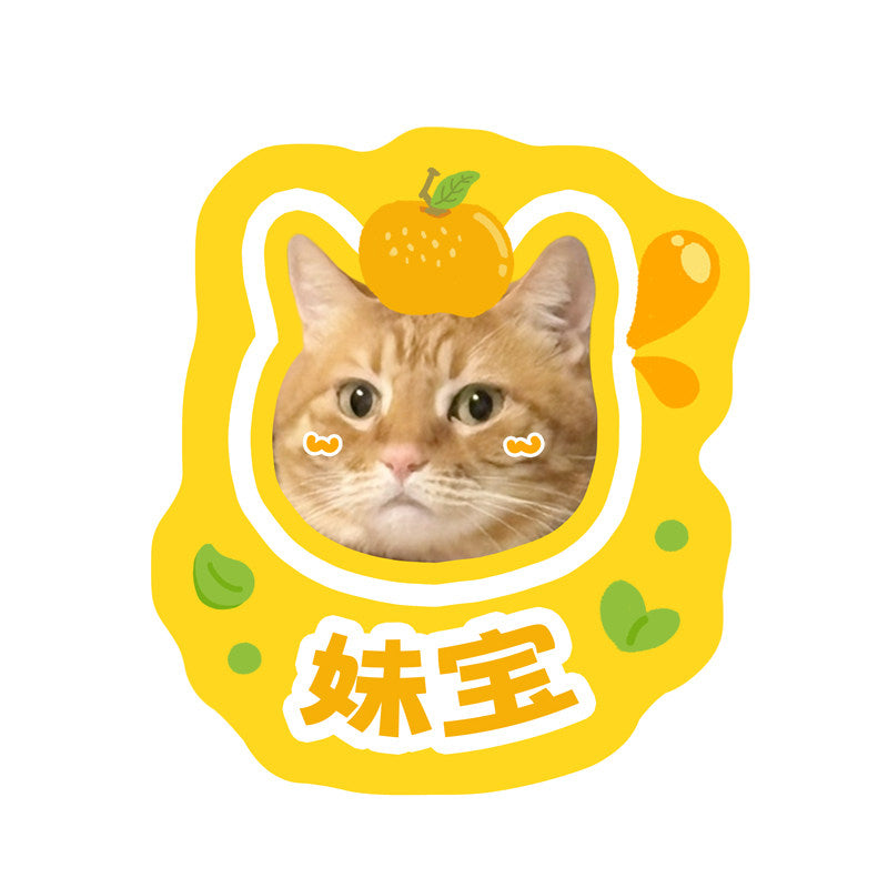 Kawaii Custom Pet Portrait Mat Custom Cat Dog Face Print Decor Rug Max Length 100cm