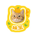 Kawaii Custom Pet Portrait Mat Custom Cat Dog Face Print Decor Rug Max Length 100cm