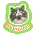 Personalized Cute Wavy Frame Pet Doormat Custom Cat Dog Picture Soft Absorbent Pet Floor Rug 100cm Maximum Length